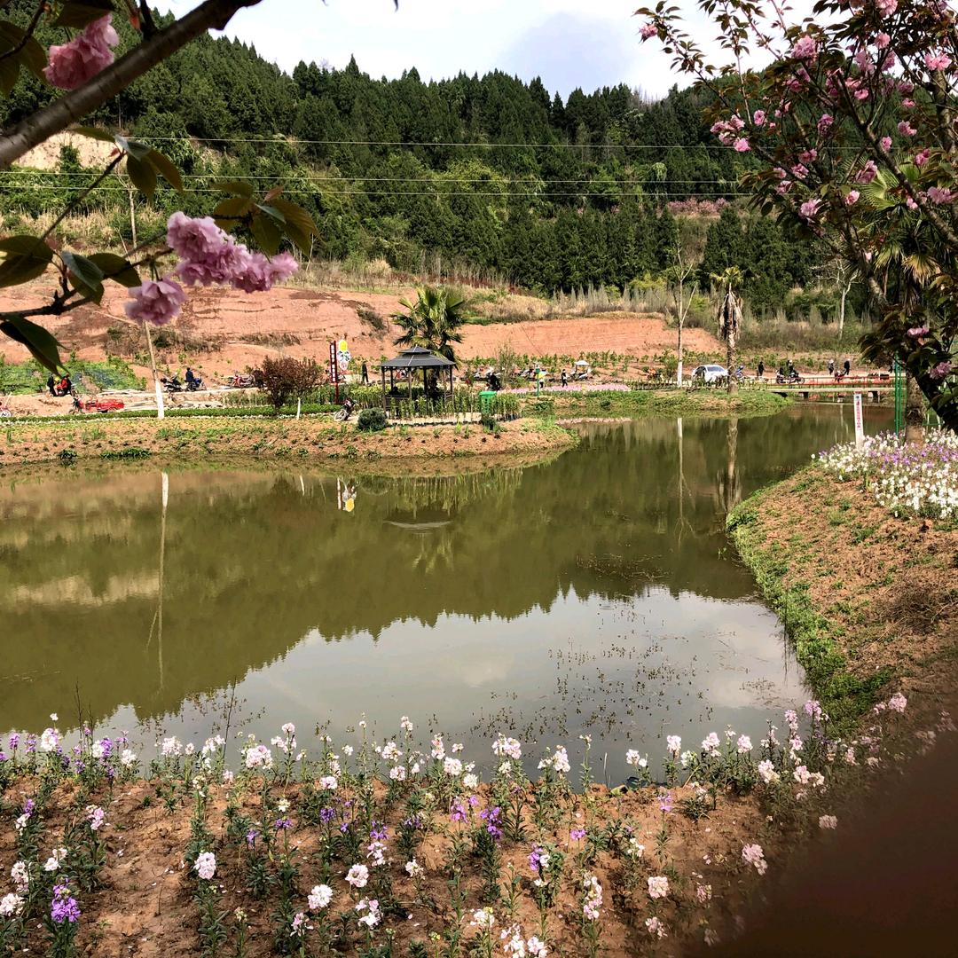 蒲老师