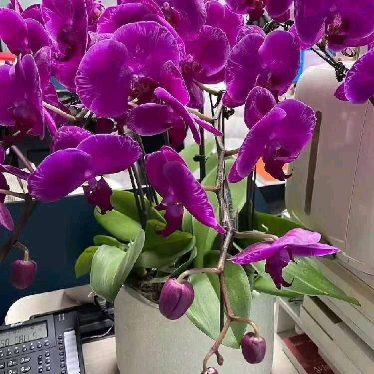 心❤️❤️❤️❤️❤️❤️❤️❤️❤️❤