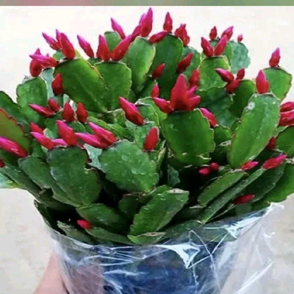 靠谁不如靠自己