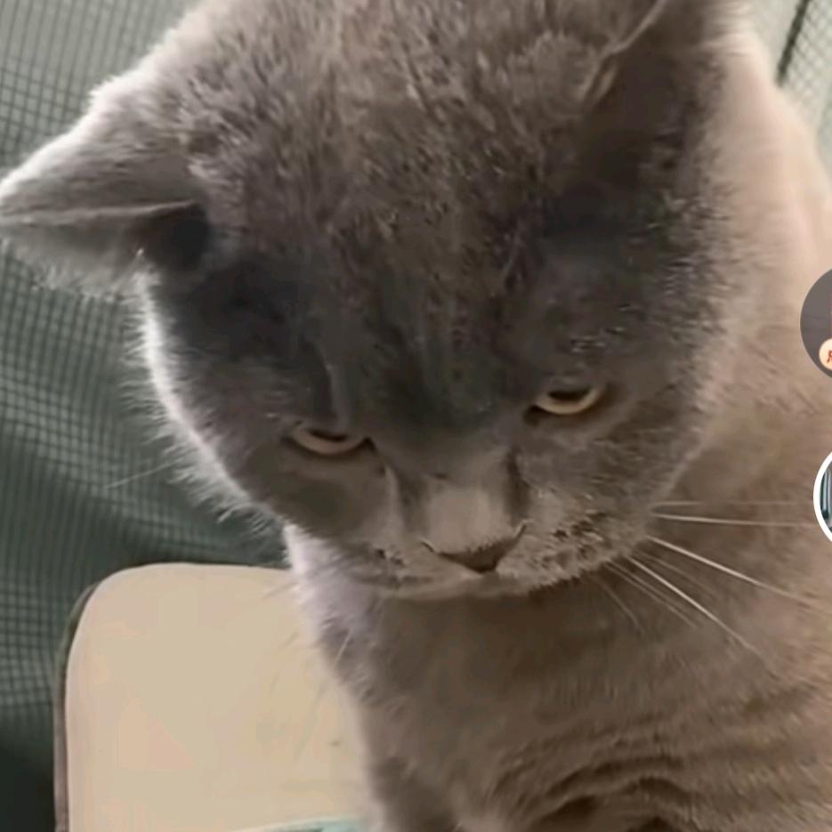 🥀ঞৣঁ往事প᪲清零꧂🥀