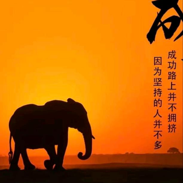 慧根（一心向善）
