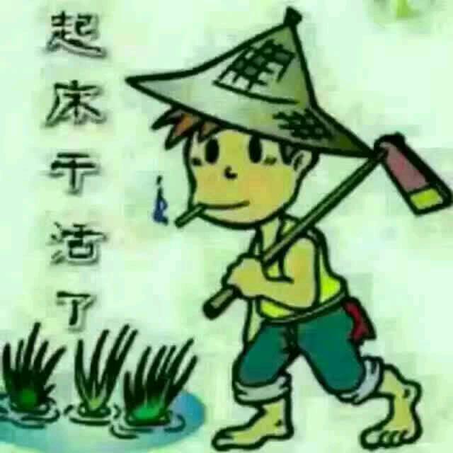 哥很忙