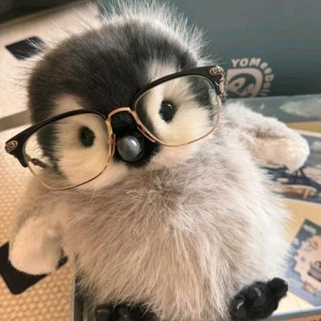 一只发财鹅🐧