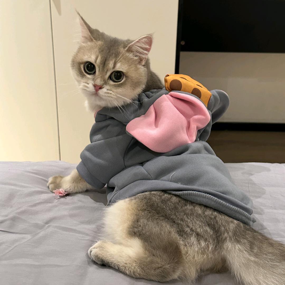 禧甜cherie fruit