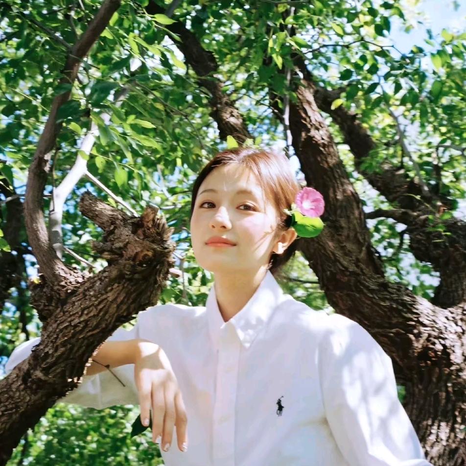 🍊陈氏套路深^-^
