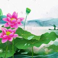 锦上添花