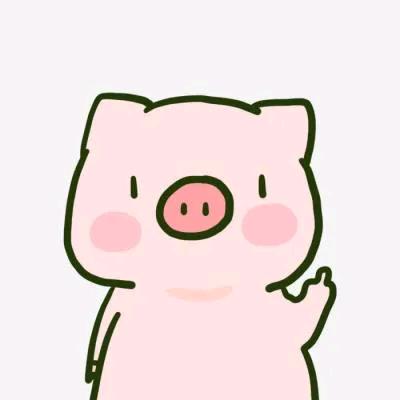 是王丫丫哦