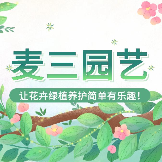 冬麦三园艺旗舰店