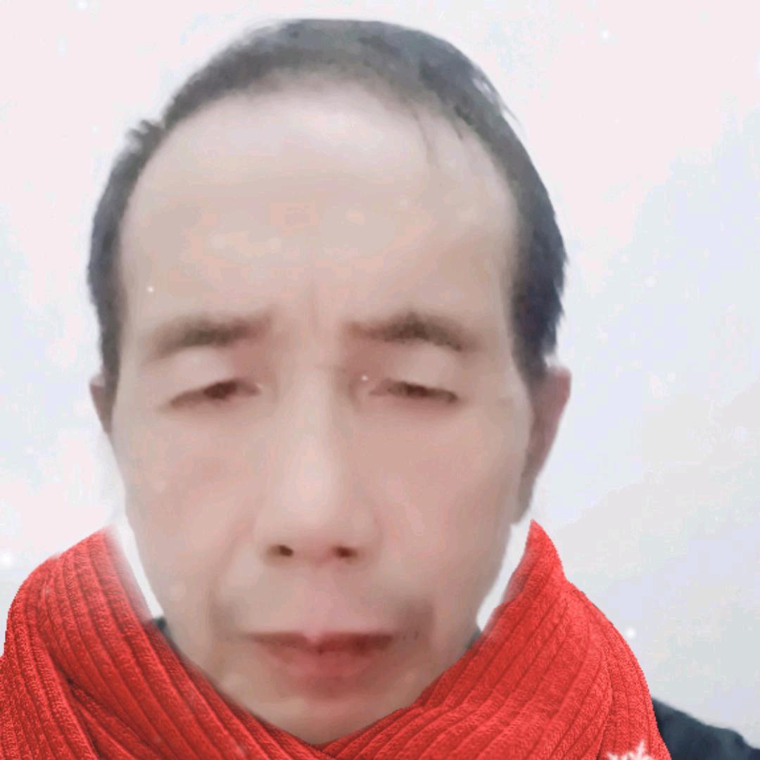 忠诚老实