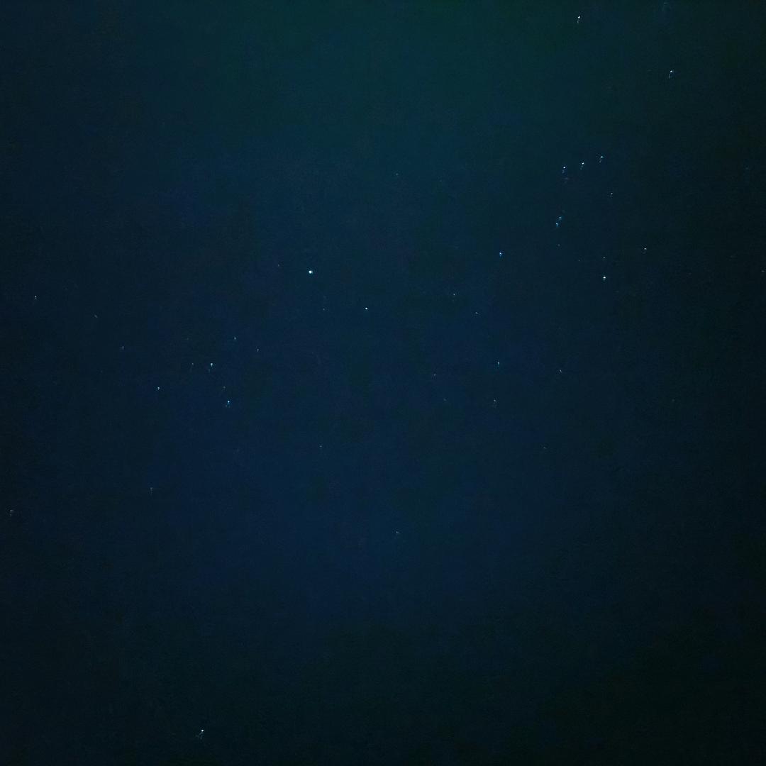 ✨³⁷号元素✨