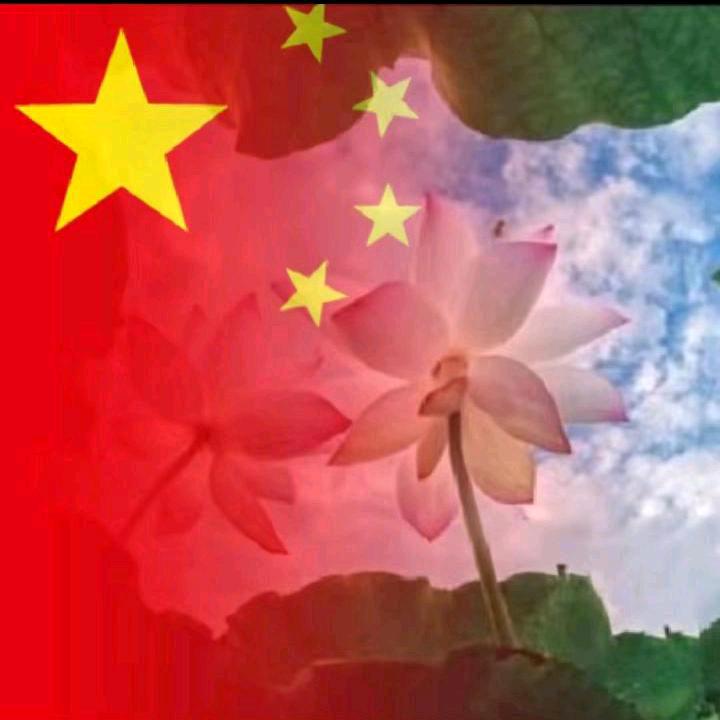 聊聊健康♥️无病无灾