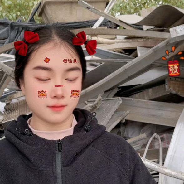 鼎盛紫腾回收利用