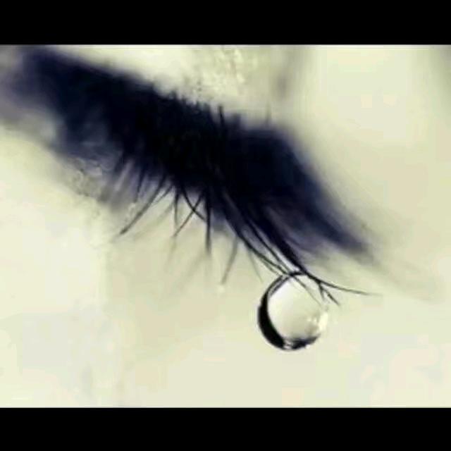 惜我者我惜之弃我者我弃之