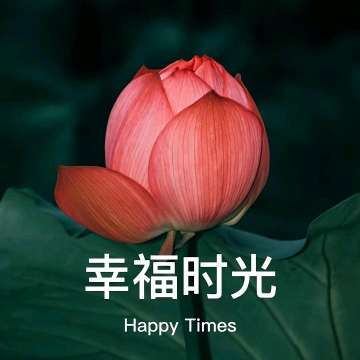 幸福时光🌹🌹🌹🌹