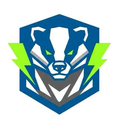 平头哥电竞（三角洲行动）