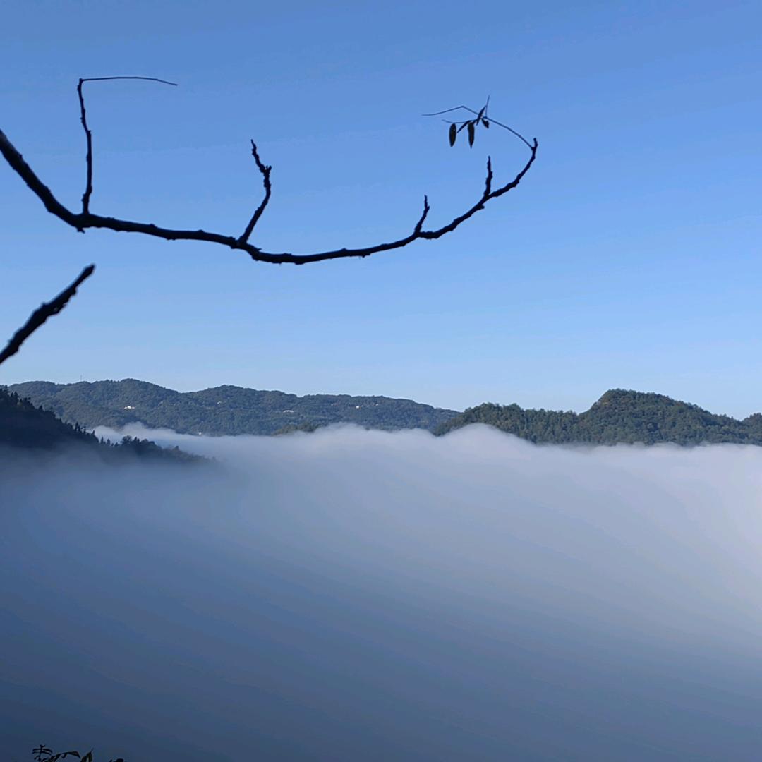 随疯