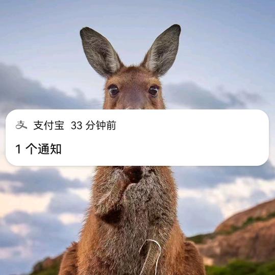 乐子