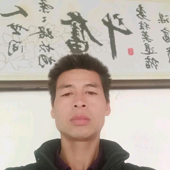 邹庄村四季花卉