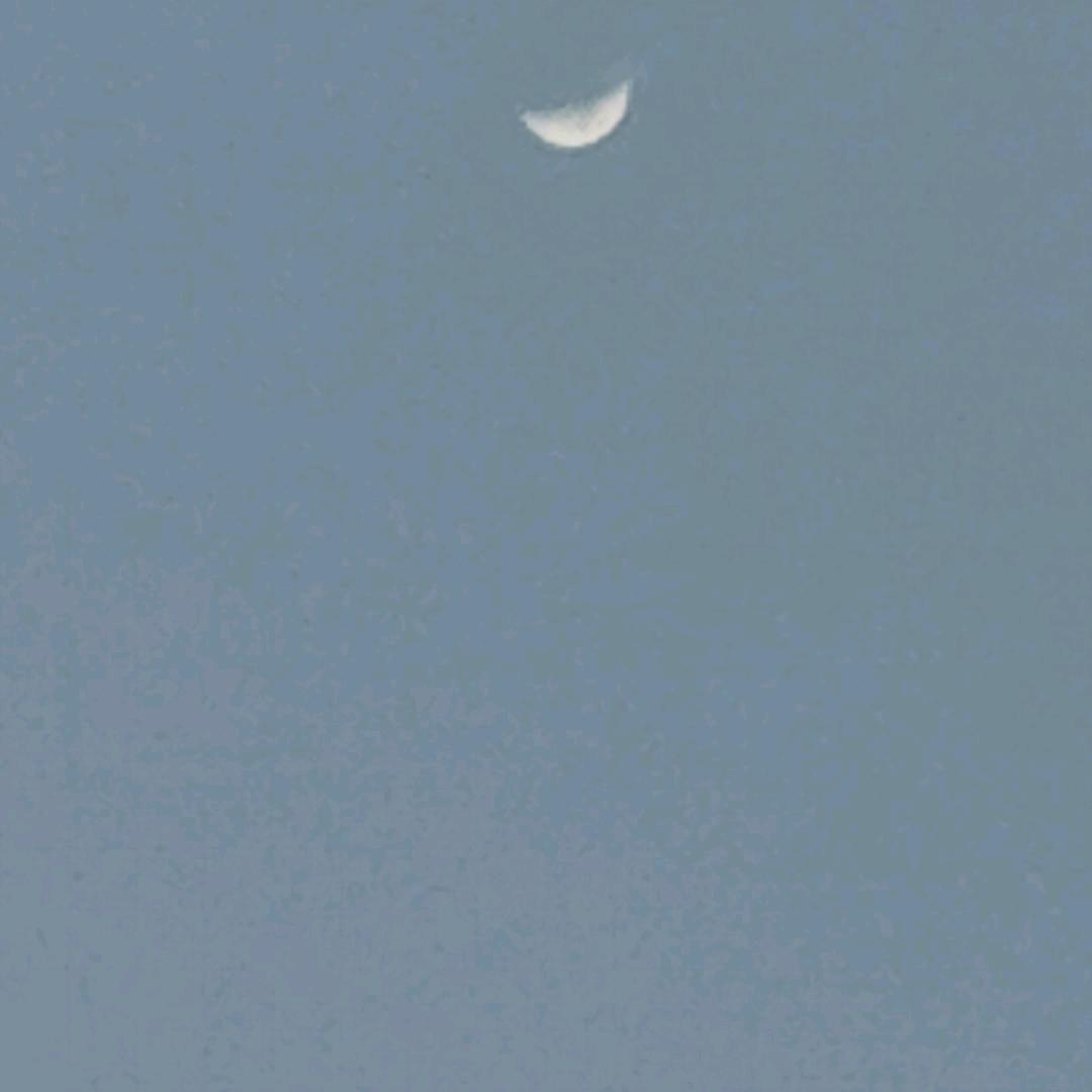 天不随人愿