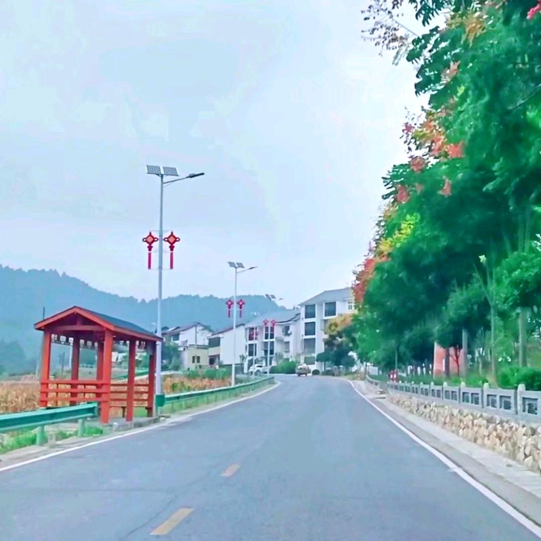 🐖的世界你不用懂