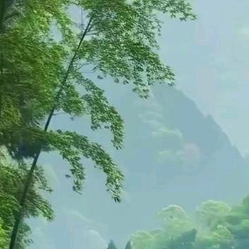竹晴园
