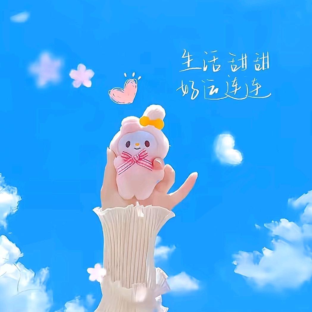 陕西可可