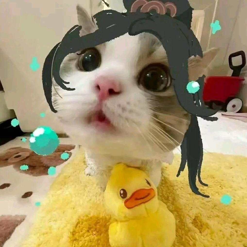 偷你裤荼