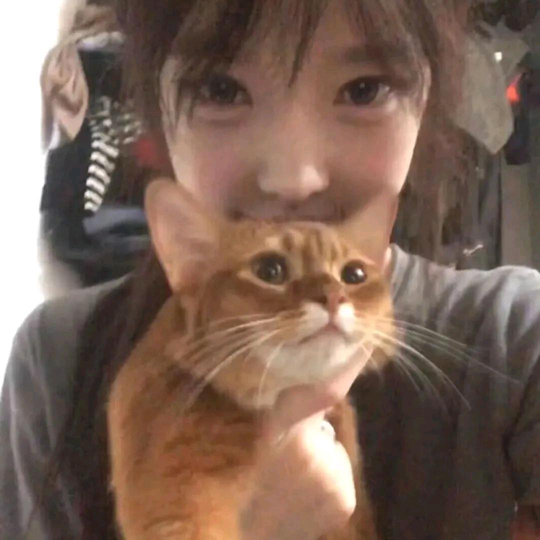 西瓜辣条