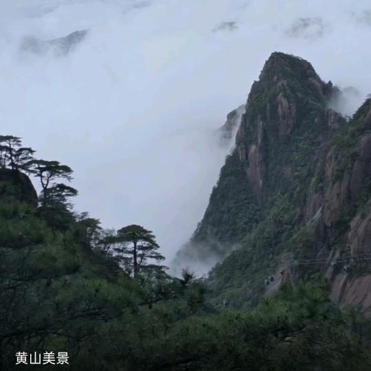 时光岁月