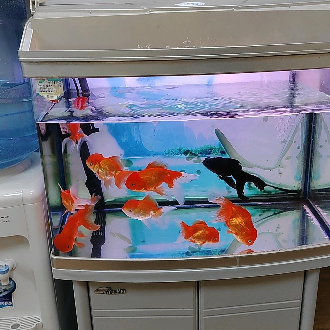 鼓乐琴行，有关必回