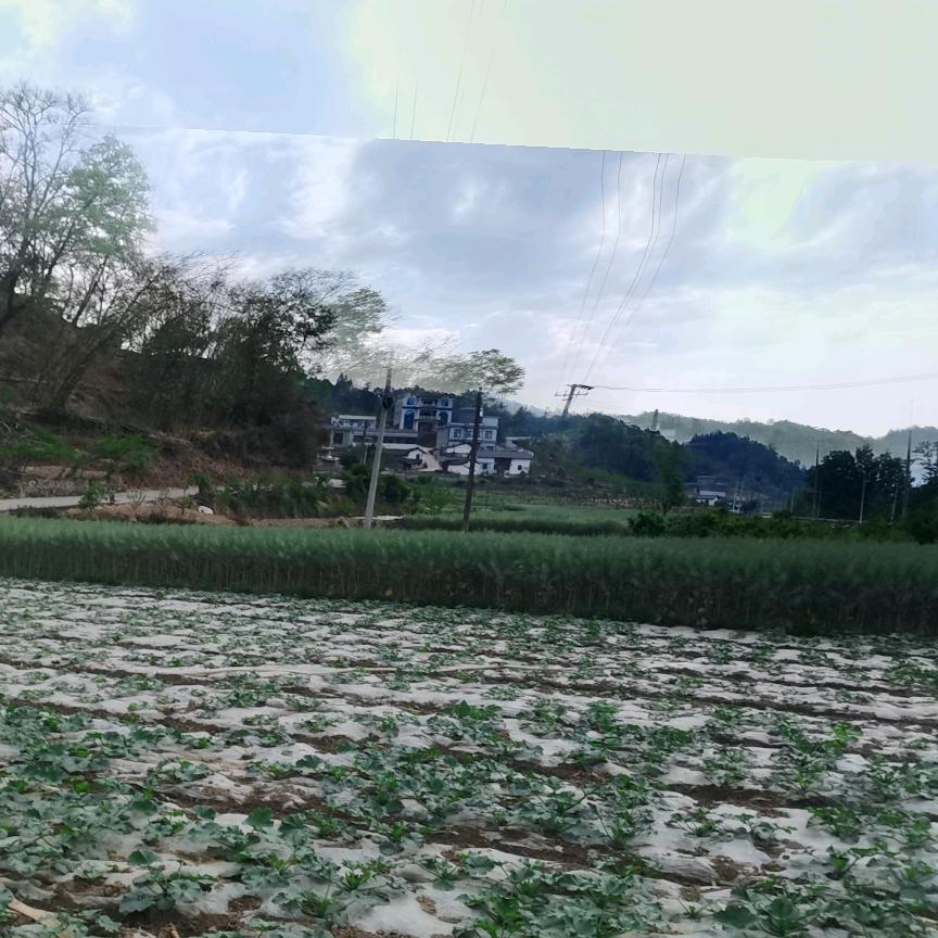 你的不是成目