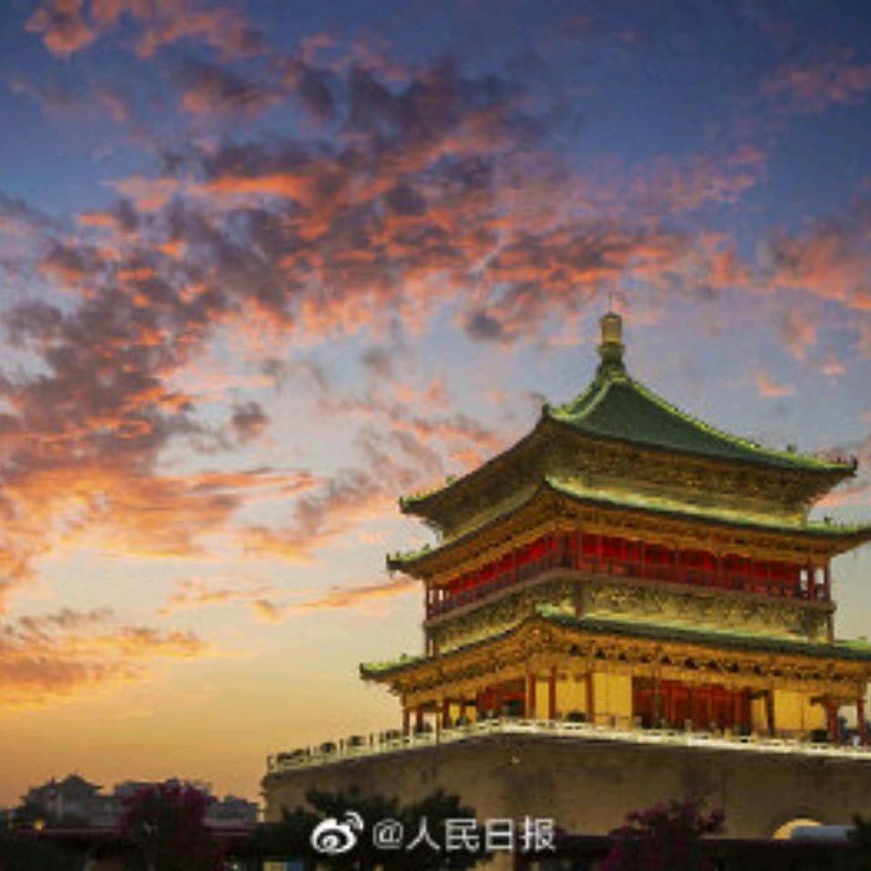 宝林春天贸易
