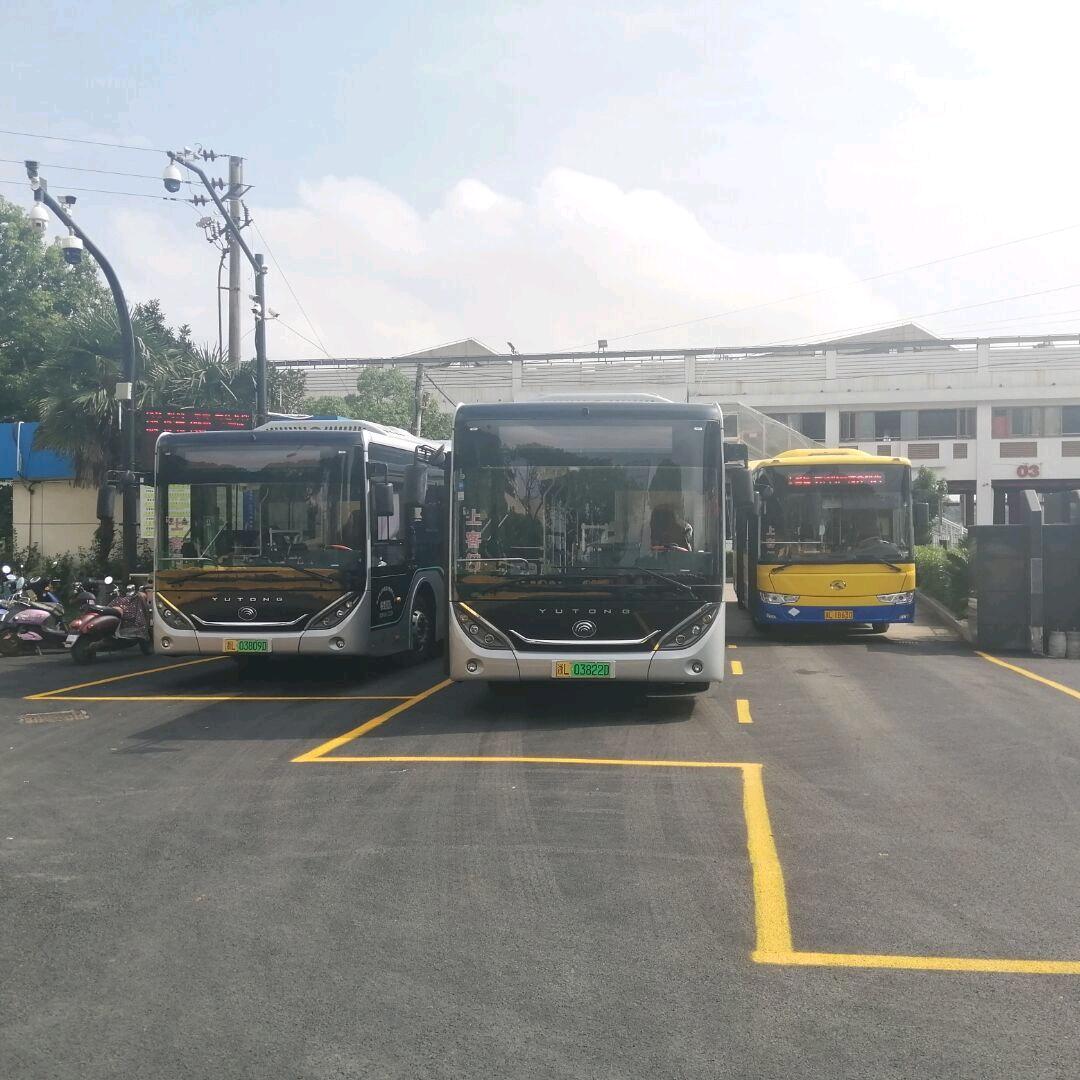 小周超级爱拍车