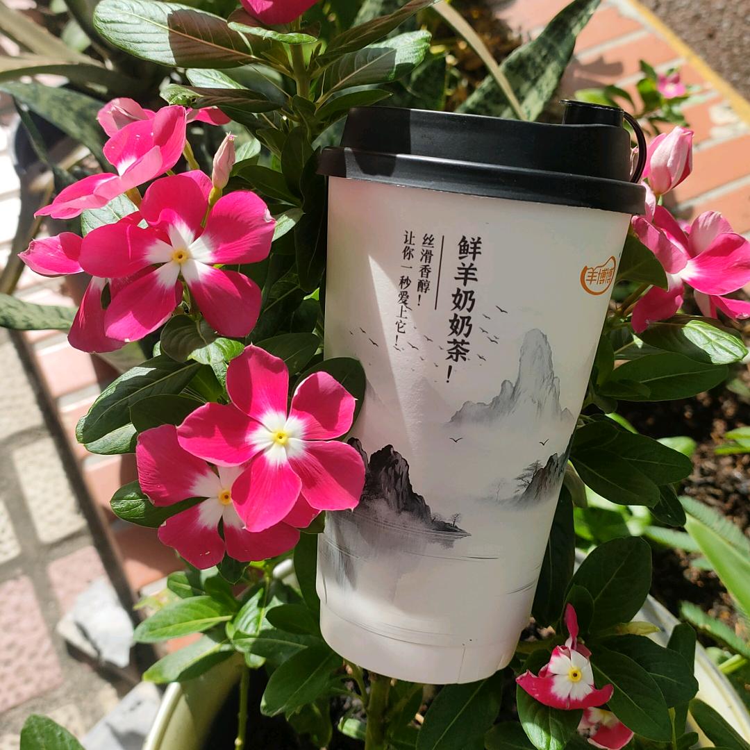 美华（鲜羊奶DIY美食）