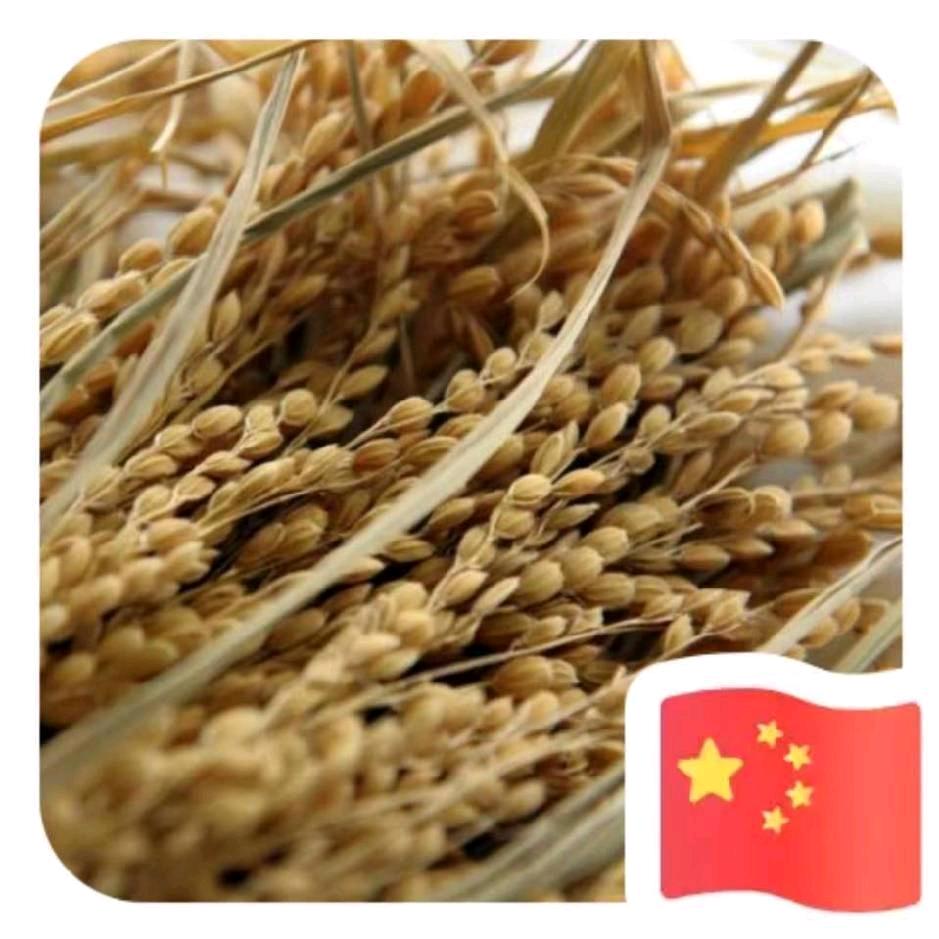 bai