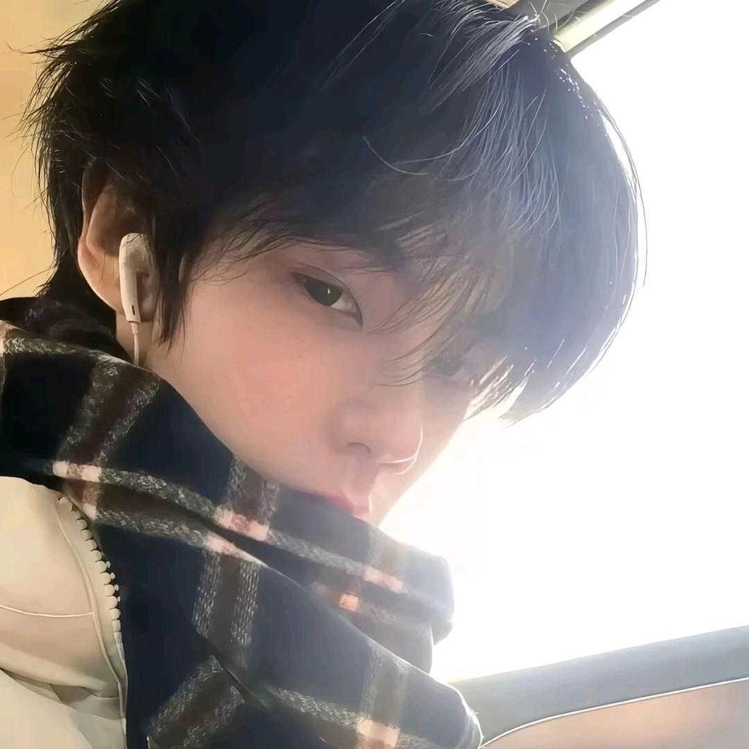 鸢