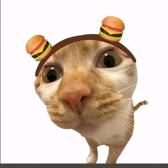 周优·俊