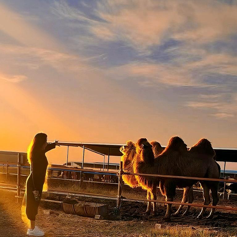 睡卟醒嘚刘大美妞