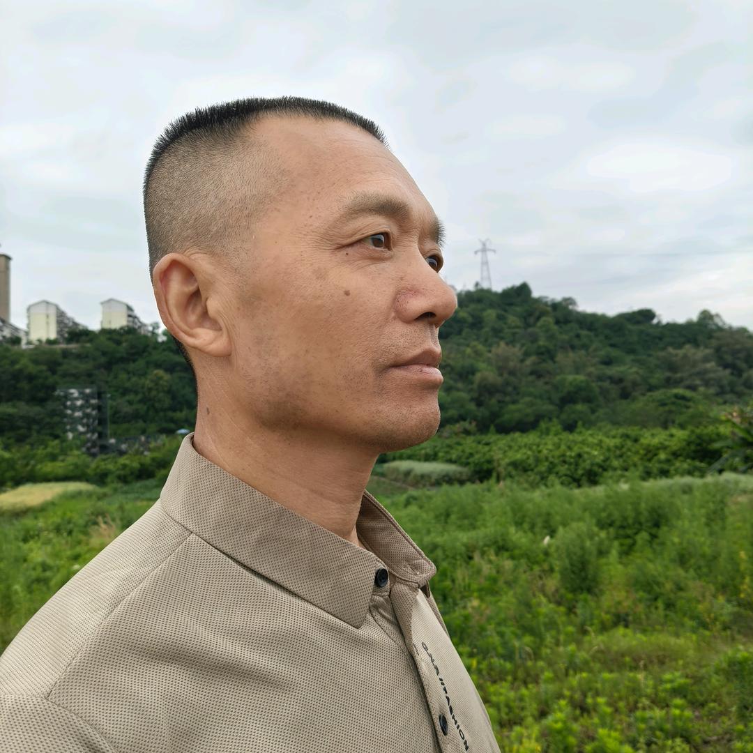 川普歌
