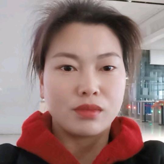 燕子首播上午(8:20)