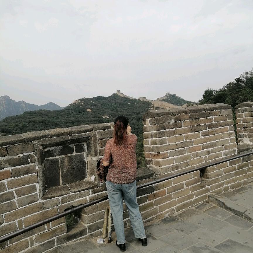 心如柠檬自然酸