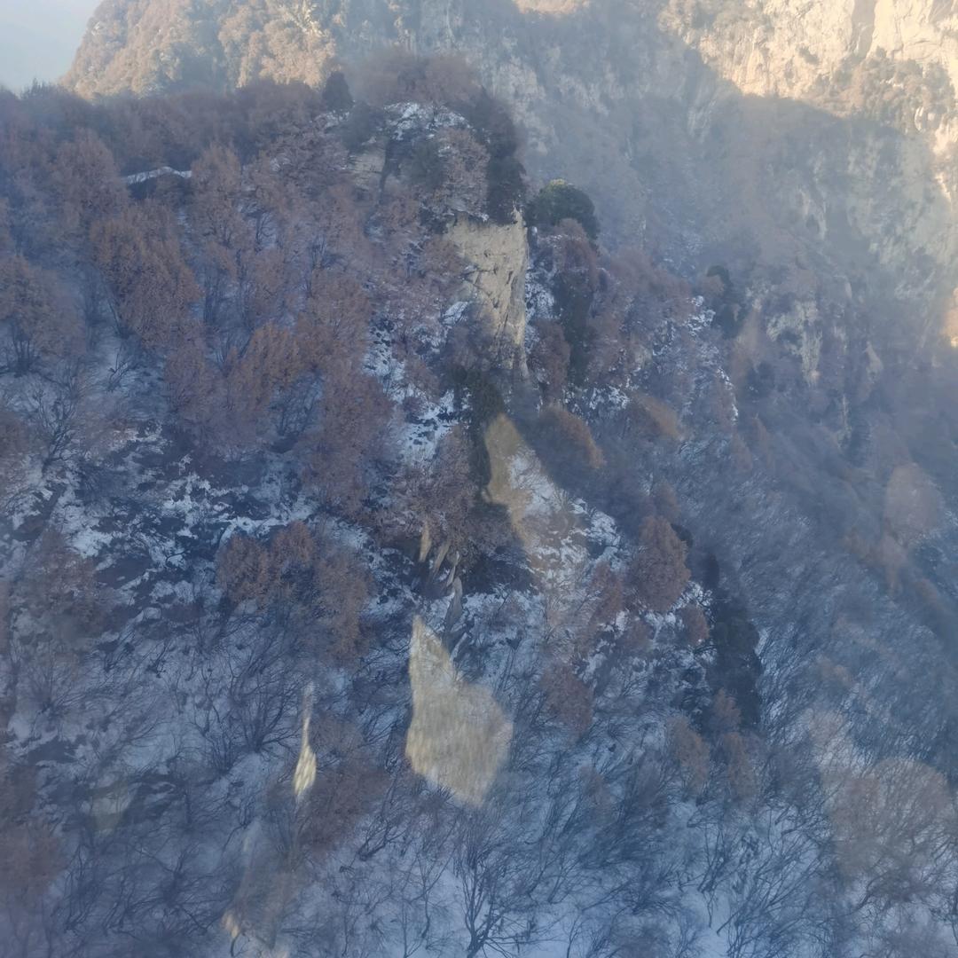 西喜