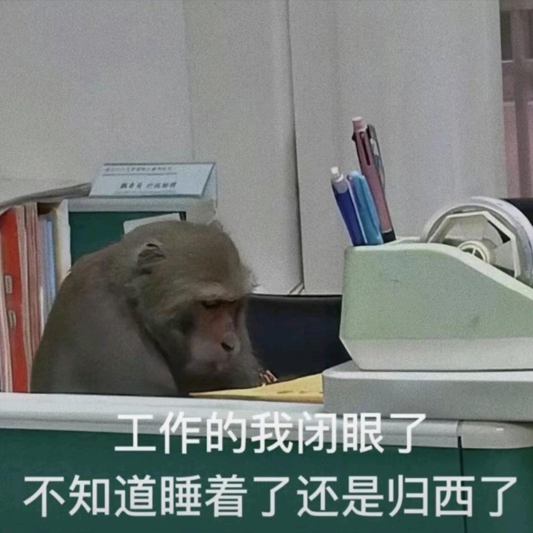 AA山羊销售小赵