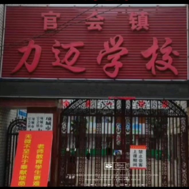 力迈刘老师