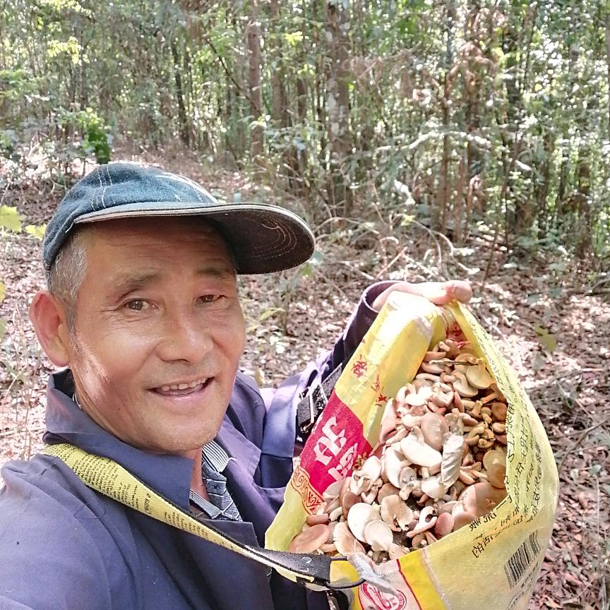 浪漫人生