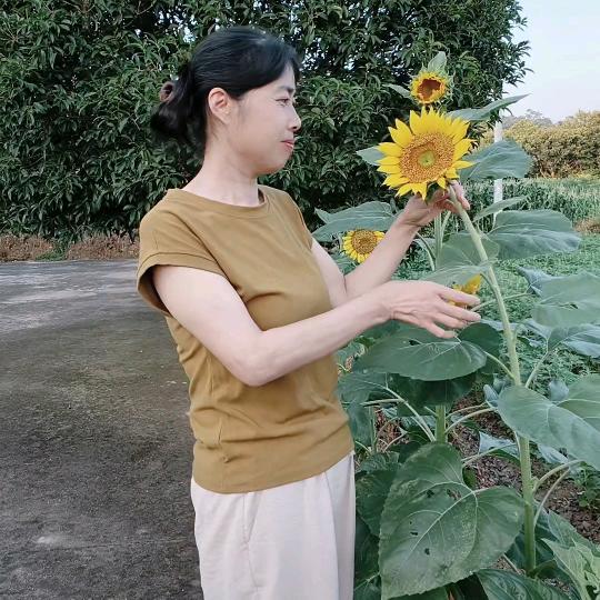 薇姐加油