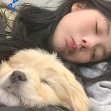 尼熊想打盹了