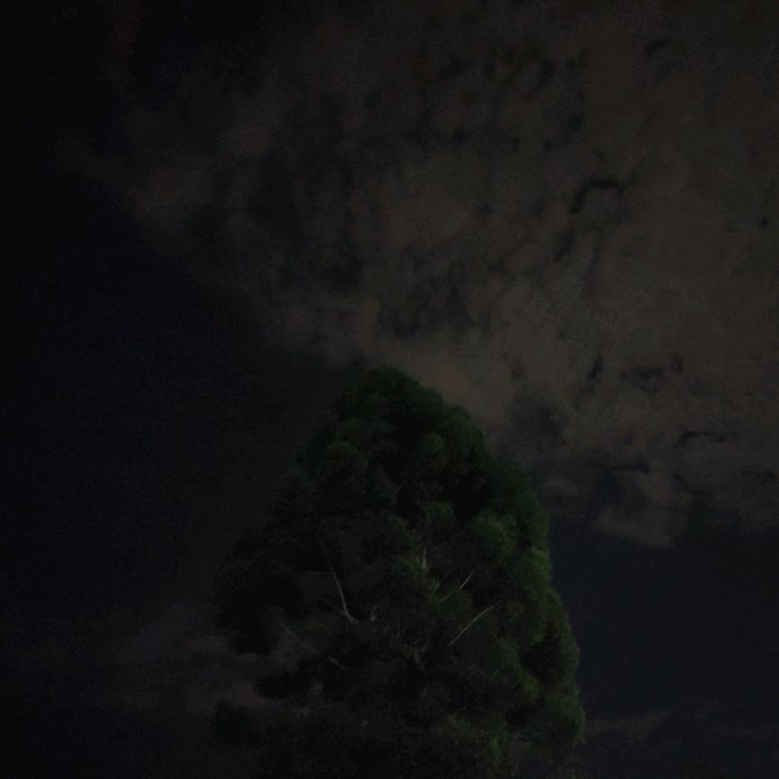 青峰