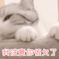 睡不醒/