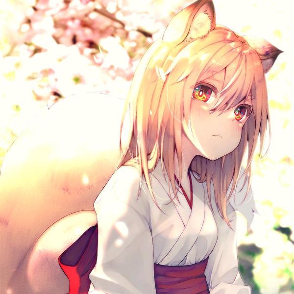 一道微风喜欢雨打芭蕉